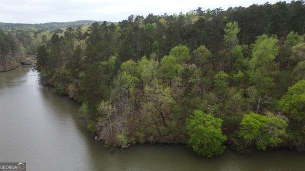 10739405 - LOT #1 Frontier Shores Road