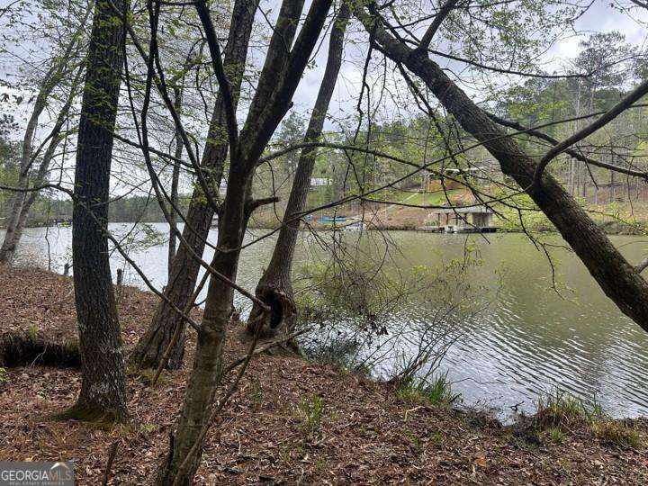 10739435 - LOT #3 Frontier Shores Road