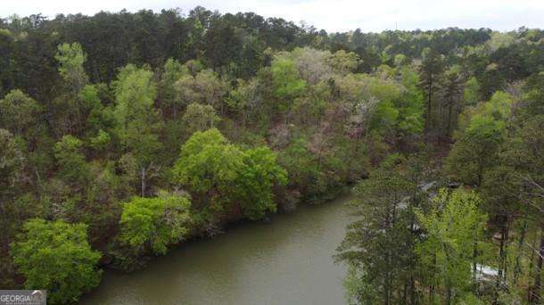 10739441 - LOT #4 Frontier Shores Road