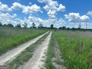 10839431 - 0 Ga Hwy 298 Parcel 2
