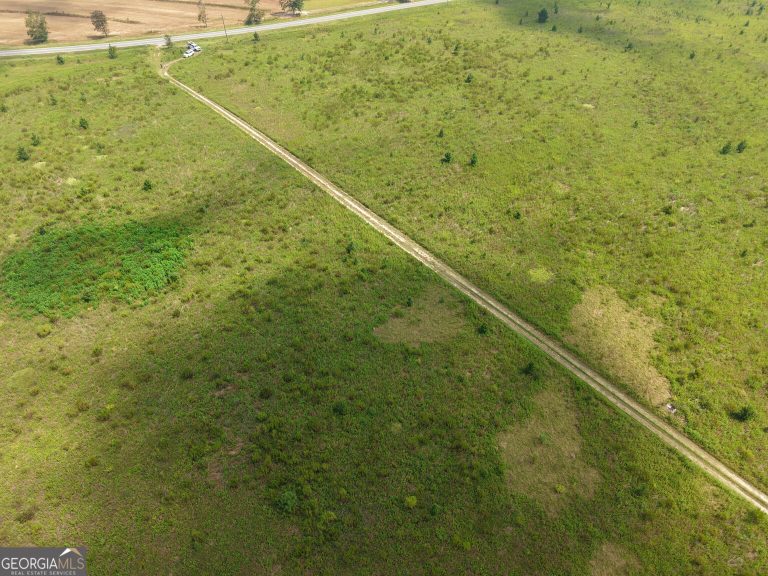 10839431 - 0 Ga Hwy 298