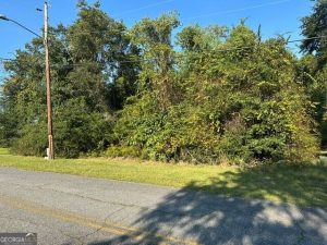 10872882 - 0 Cleveland Street 10872882 - 0 Cleveland Street